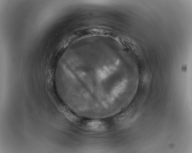 X0000096380759200802071513