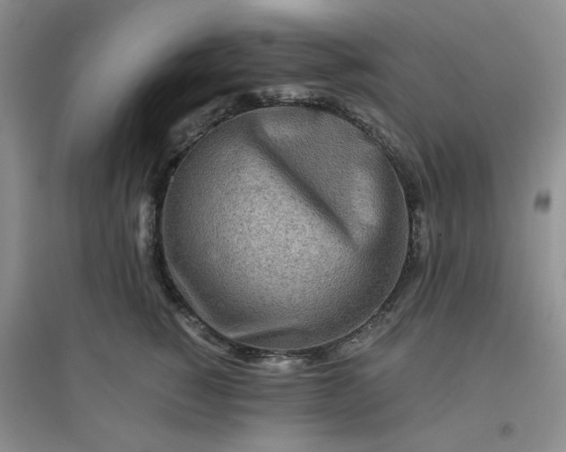 X0000096380760200802071513