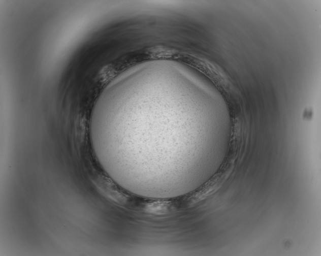 X0000096380761200802071513