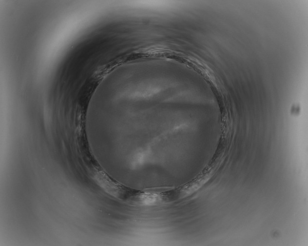 X0000096380762200802071513