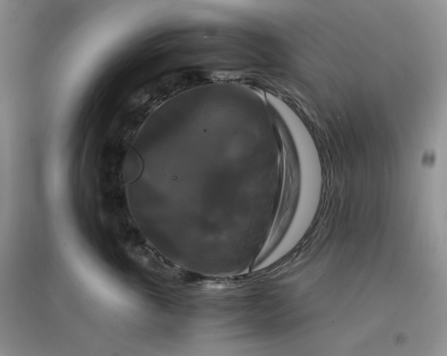 X0000096380763200802071513