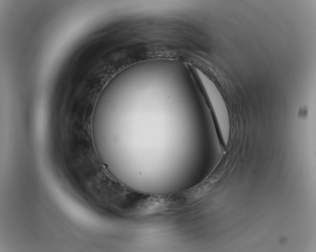 X0000096380764200802071513