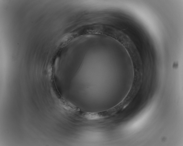 X0000096380767200802071513