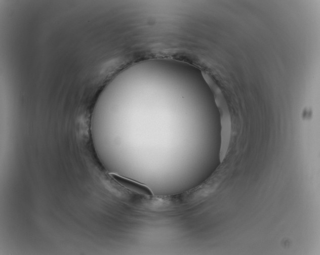 X0000096380768200802071513