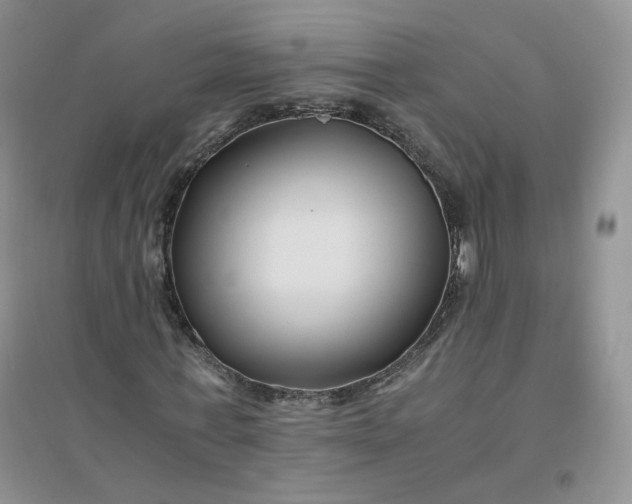 X0000096380771200802071512