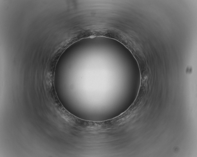 X0000096380772200802071512