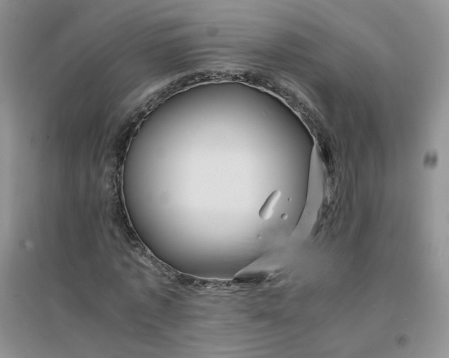 X0000096380773200802071512