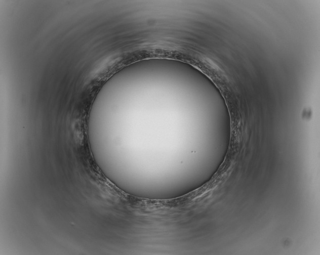 X0000096380774200802071512