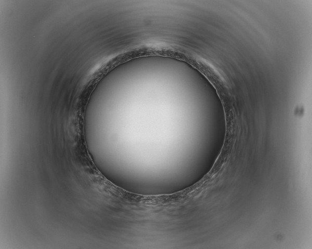 X0000096380776200802071512