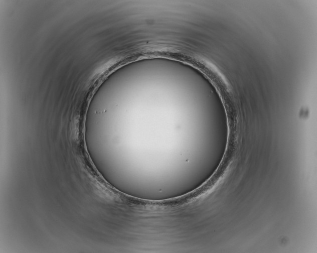 X0000096380777200802071512