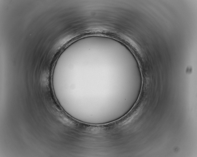 X0000096380778200802071512