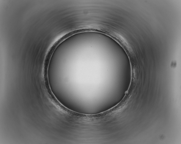 X0000096380780200802071512