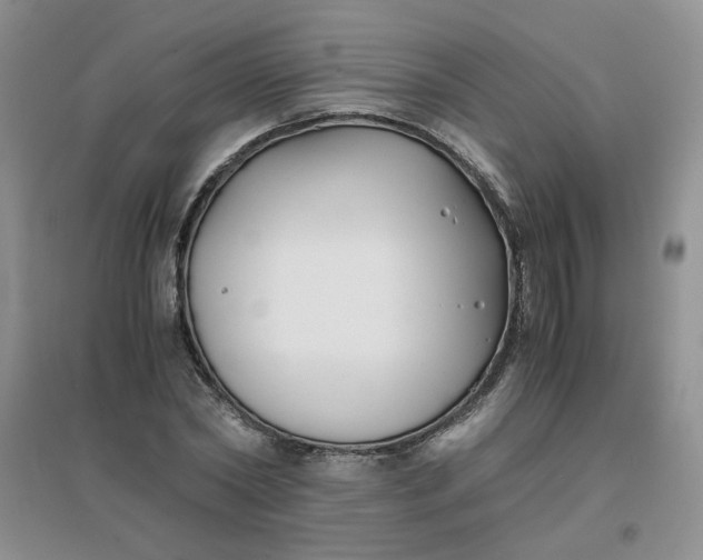 X0000096380782200802071512