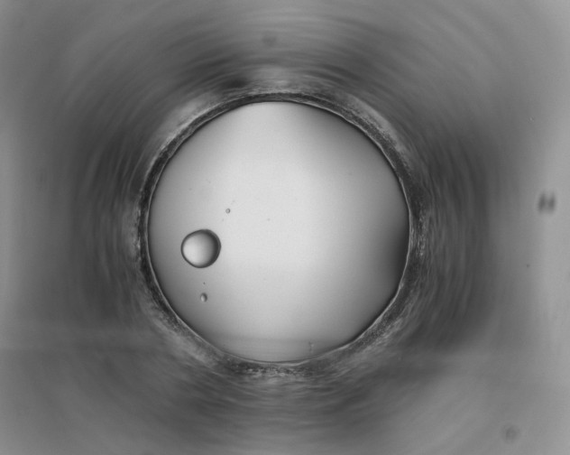 X0000096380786200802071512