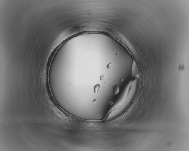 X0000096380787200802071512