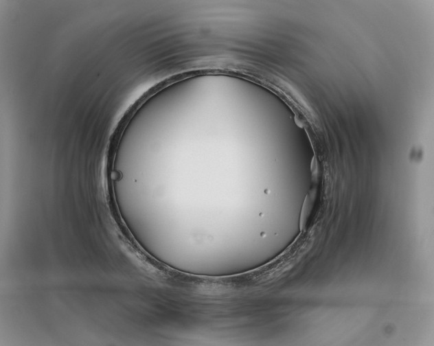 X0000096380788200802071512