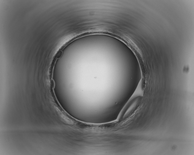 X0000096380789200802071512