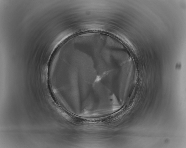 X0000096380790200802071512