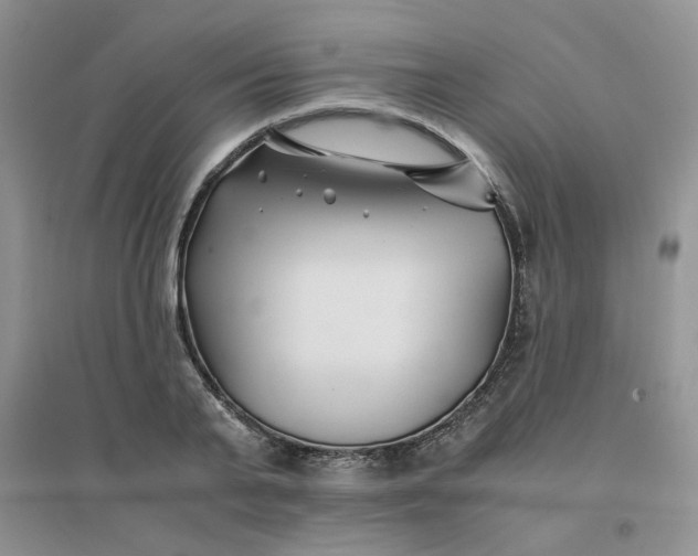 X0000096380791200802071512