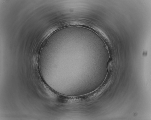 X0000096380793200802071512