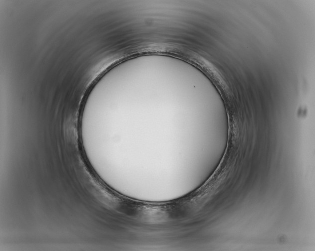 X0000096380794200802071512