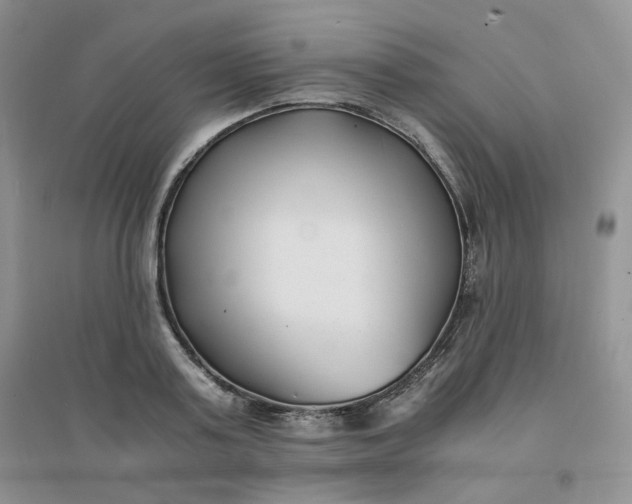 X0000096380795200802071512