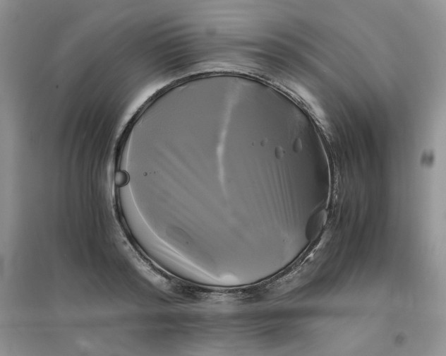 X0000096380796200802071512