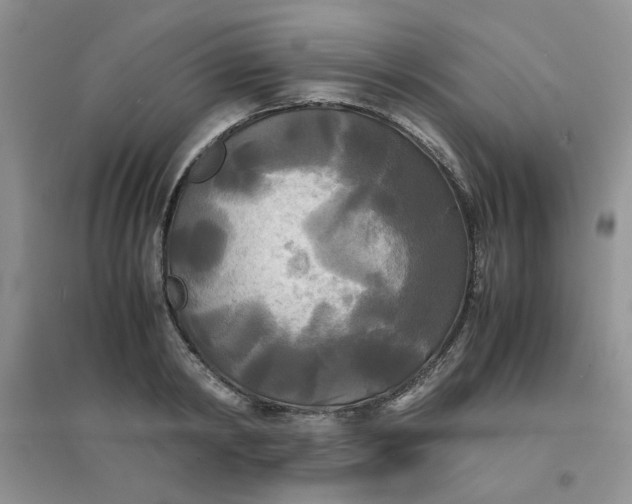 X0000096380798200802071512