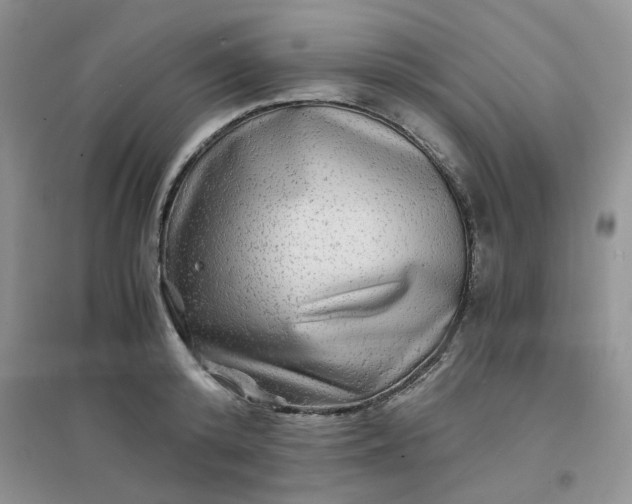 X0000096380800200802071512