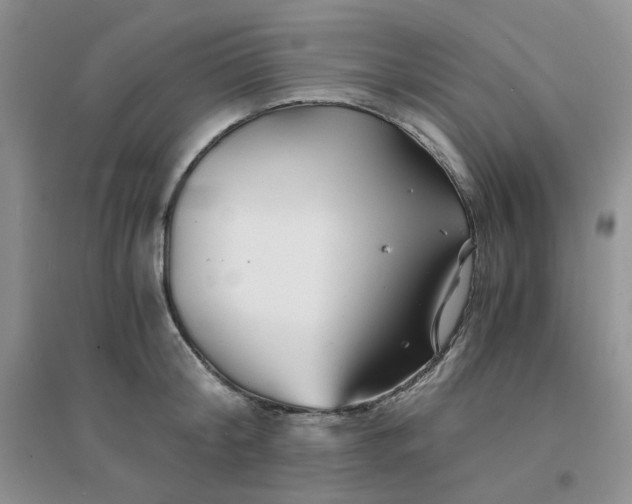 X0000096380804200802071512