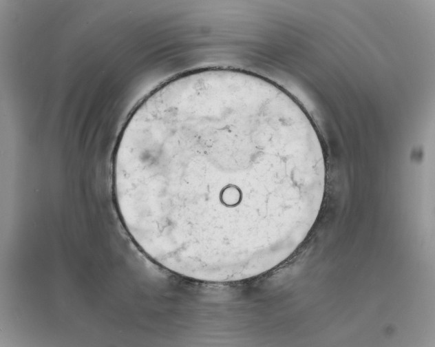 X0000096380807200802071512