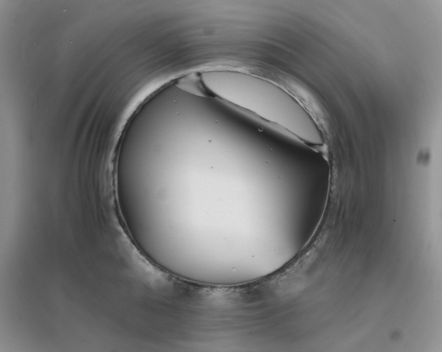 X0000096380808200802071512