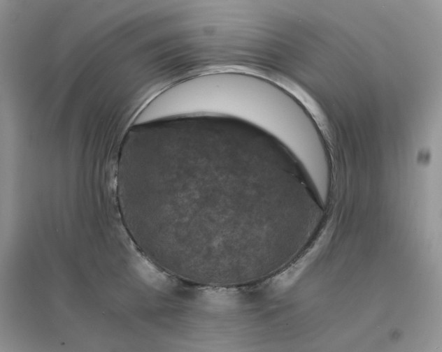 X0000096380809200802071512