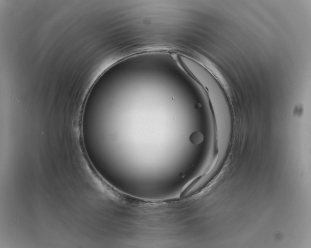 X0000096380810200802071512