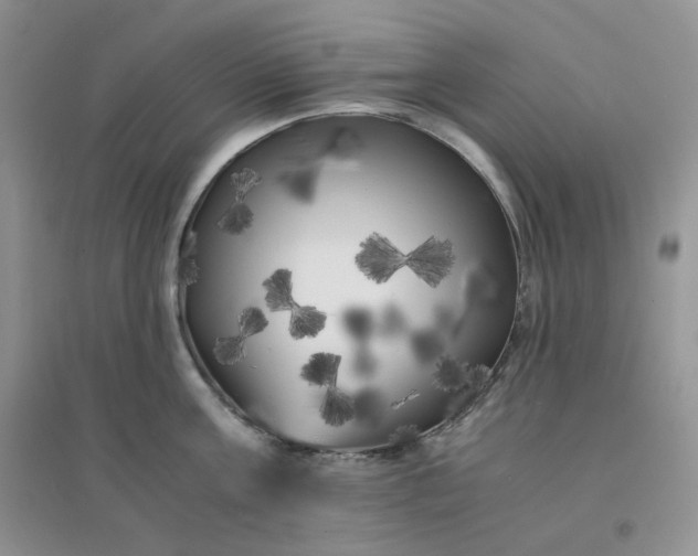 X0000096380811200802071512