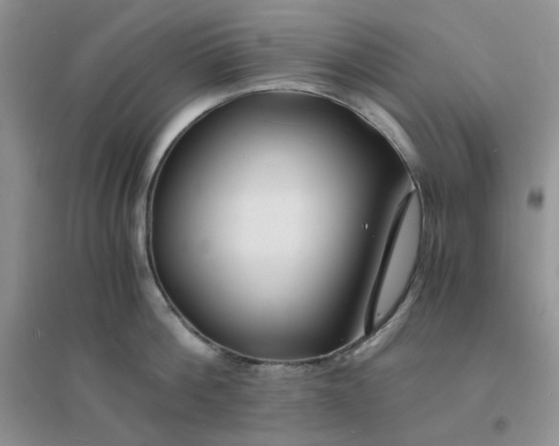 X0000096380812200802071512