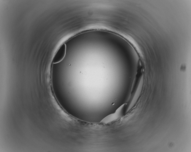 X0000096380815200802071512