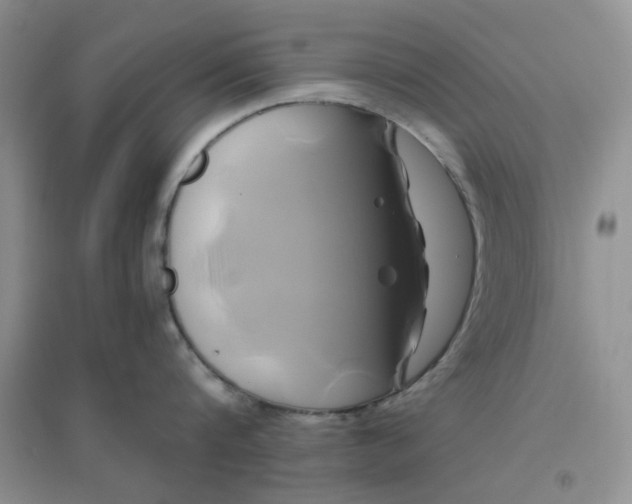 X0000096380816200802071512