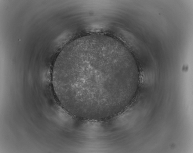 X0000096380820200802071511