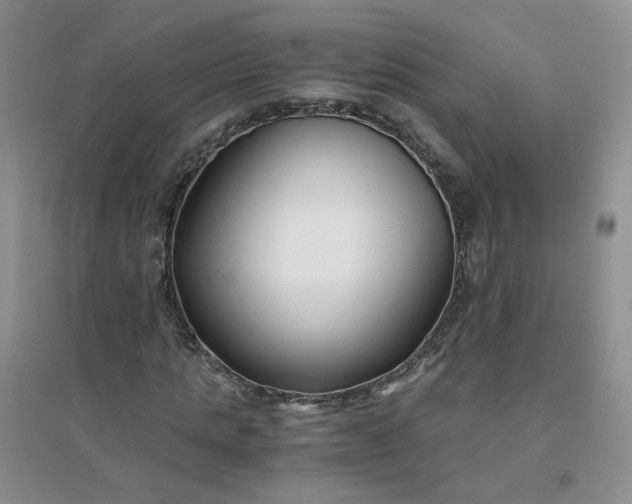 X0000096380821200802071511