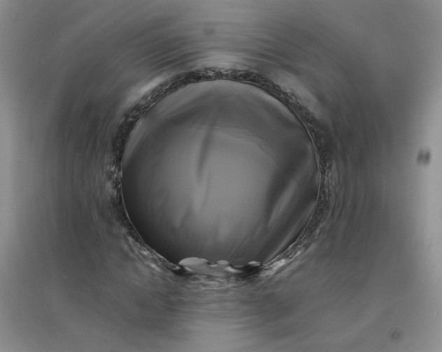 X0000096380822200802071511