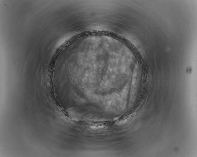 X0000096380823200802071511