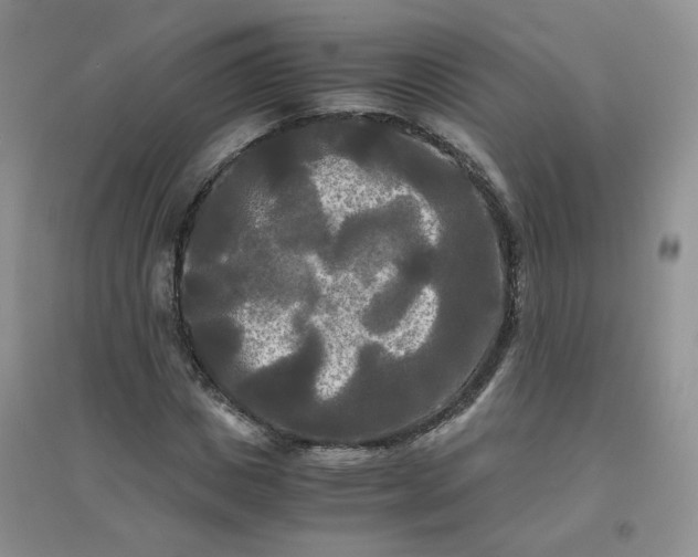 X0000096380825200802071511