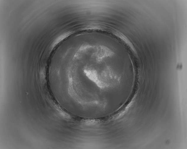 X0000096380826200802071511