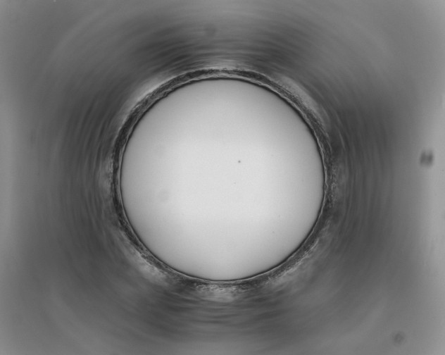 X0000096380831200802071511