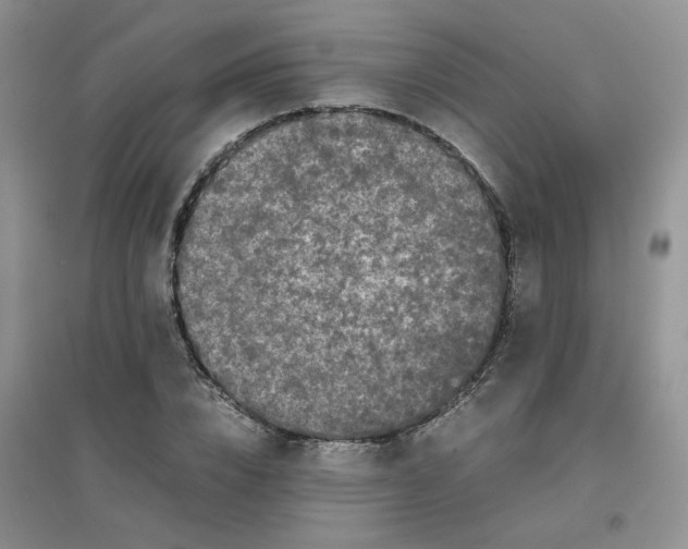 X0000096380832200802071511