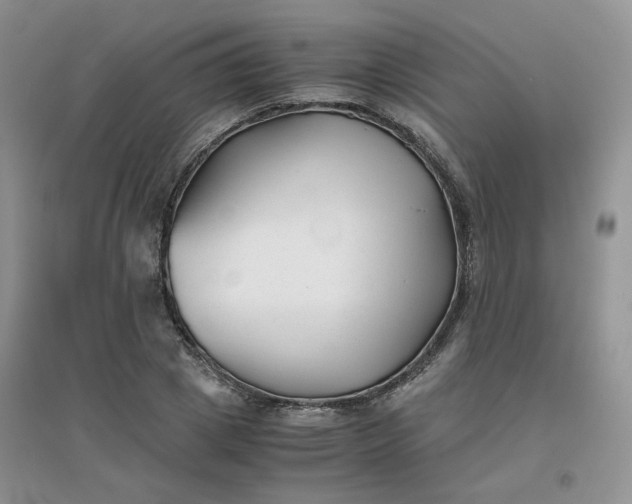 X0000096380833200802071511