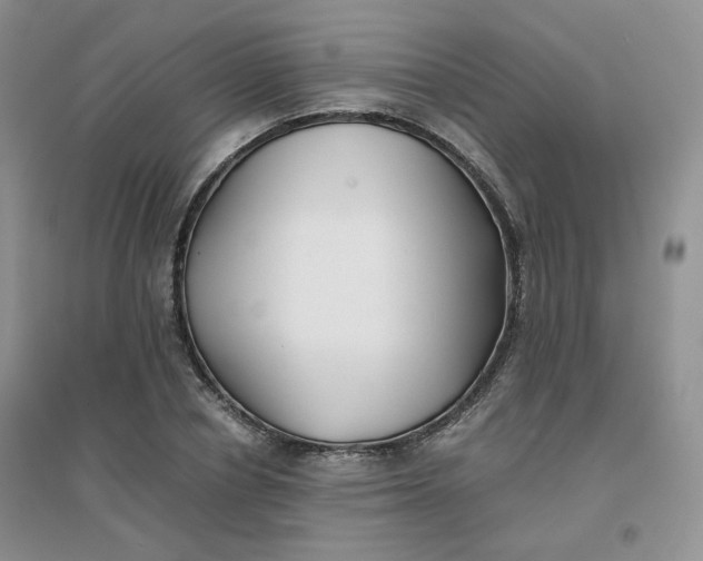 X0000096380834200802071511