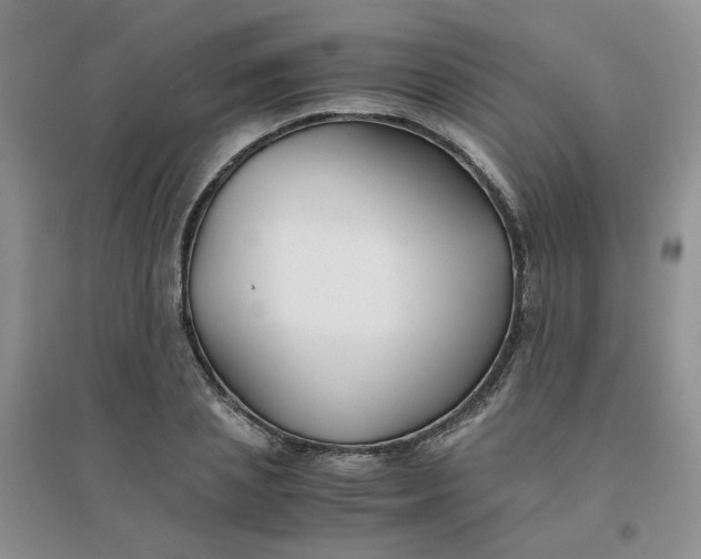 X0000096380837200802071511