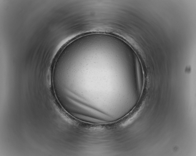 X0000096380838200802071511